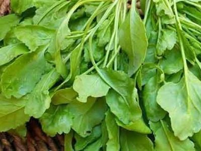 خواص سبزی تره شاهی