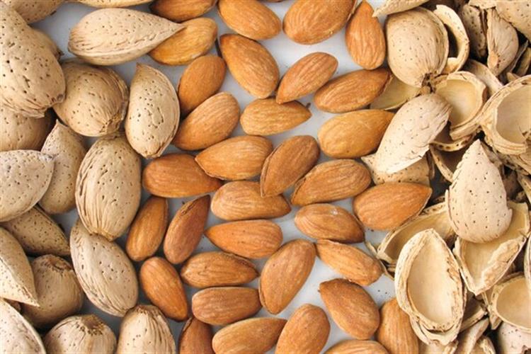 خواص درمانی بادام و بررسی ارزش غذایی