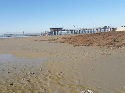 نقش آفرینی بی‌سابقه قضایی در گلستان / پایان یک قرارداد 45 ساله غلط در ساحل بندرترکمن