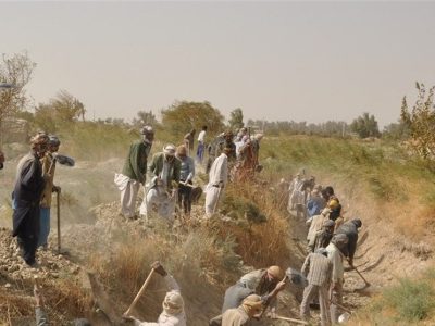 همدلی کشاورزان در زادگاه خورشید ایران/ احیای سنت «حشر و مدد» در سراوان