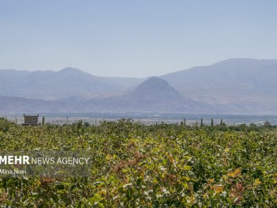 خشک شدن دریاچه ارومیه؛ از تغییر الگوی کشت تا مقاوم سازی اقتصاد کشاورزی – آژانس خبری  ملت آزاد آنلاین |