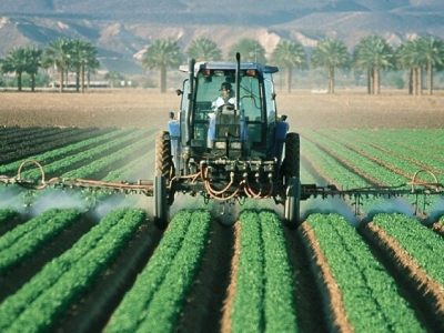 نجفی: اصلاح الگوی کشت تنها راه برونرفت از چالشهای آب و خاک کشور است – آژانس خبری ملت آزاد آنلاین |