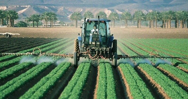 نجفی: اصلاح الگوی کشت تنها راه برون‌رفت از چالش‌های آب و خاک کشور است – آژانس خبری  ملت آزاد آنلاین |