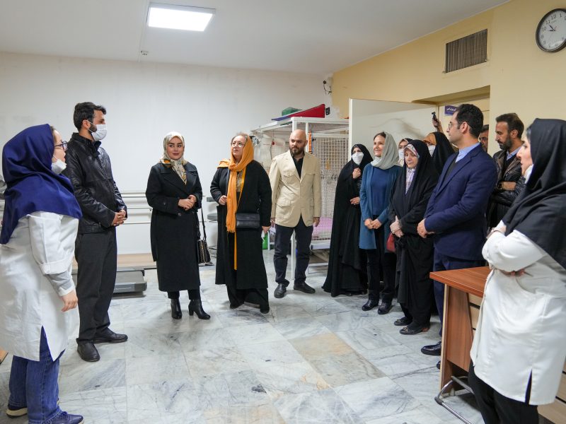 دیپلماسی برای زندگی