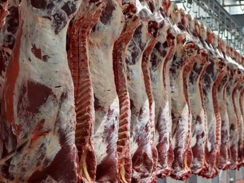 هیچ‌ کمبودی در تهیه و توزیع گوشت قرمز در آذربایجان‌شرقی وجود ندارد – آژانس خبری  ملت آزاد آنلاین |