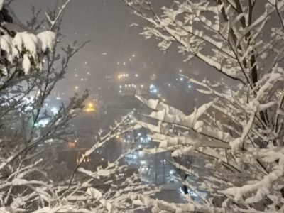 عجب‌شیرِ برفی