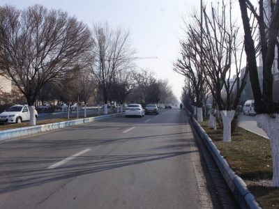 احداث نخستین خیابان گل در تبریز – آژانس خبری  ملت آزاد آنلاین |