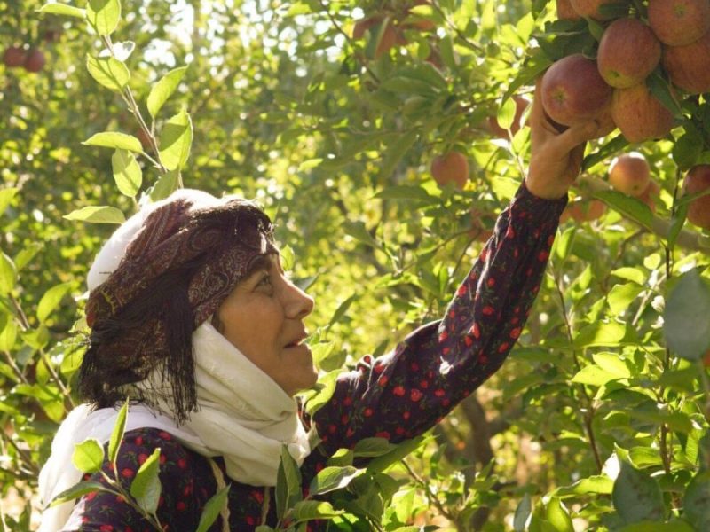 سریال «مادران» از جمعه ۱۱ اردیبهشت روی آنتن شبکه یک سیما