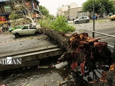 مصدومیت ۱۷ نفر در پی وزش باد شدید در استان تهران