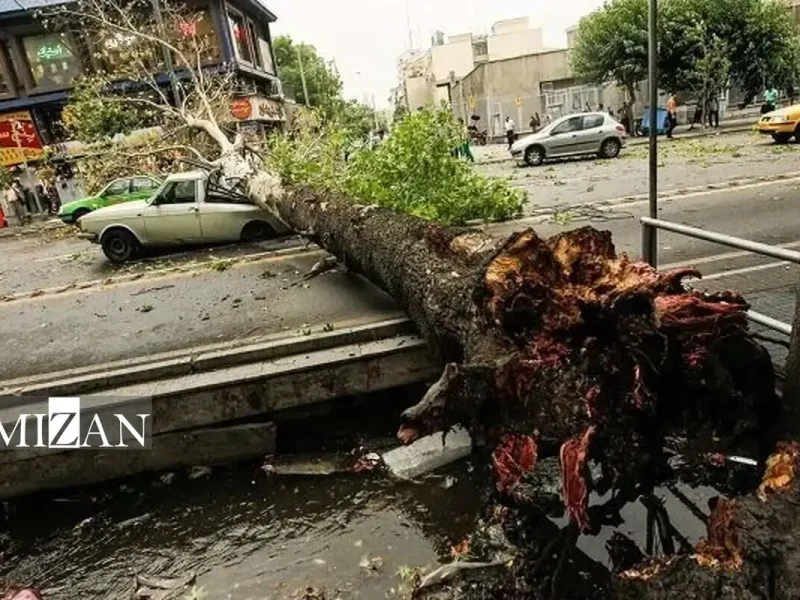 مصدومیت ۱۷ نفر در پی وزش باد شدید در استان تهران
