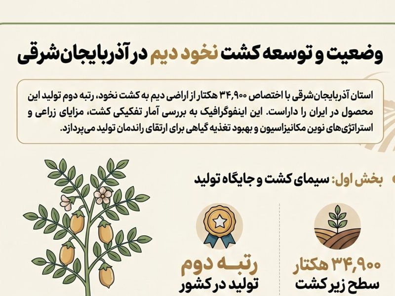 اینفوگرافیک؛ وضعیت و توسعه کشت نخود دیم در آذربایجان‌شرقی