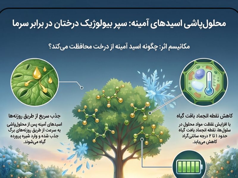 اینفوگرافیک؛محلول‌پاشی اسیدهای آمینه سپر بیولوژیک درختان در برابر سرما