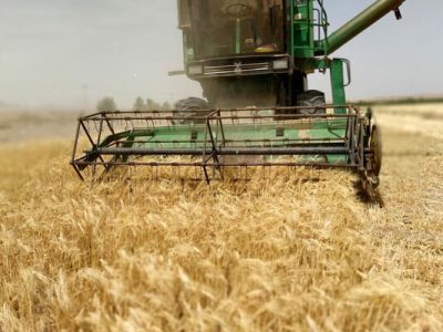 پیش‌بینی برداشت بیش از ۱۰ هزار تن جو در خداآفرین