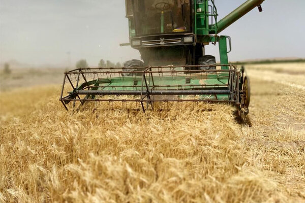 پیش‌بینی برداشت بیش از ۱۰ هزار تن جو در خداآفرین