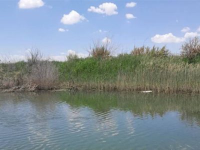 پایان ۵ سال خشکی در قره‌قشلاق و احیای قوری‌گل