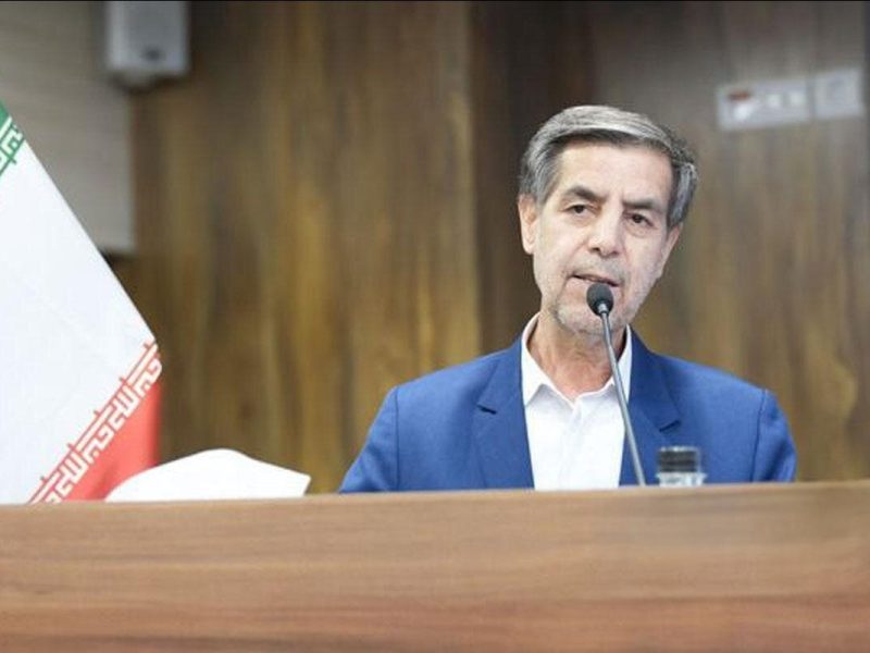 صدیقی: استیفای حقوق مالباختگان شرکت‌های وارداتی باید تسریع شود