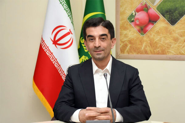 هویت‌گذاری اسب‌ها؛ گامی برای توسعه صنعت پرورش اسب در آذربایجان‌شرقی