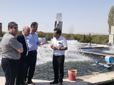 سرانه مصرف آبزیان در آذربایجان شرقی به ۸.۹ کیلوگرم رسید