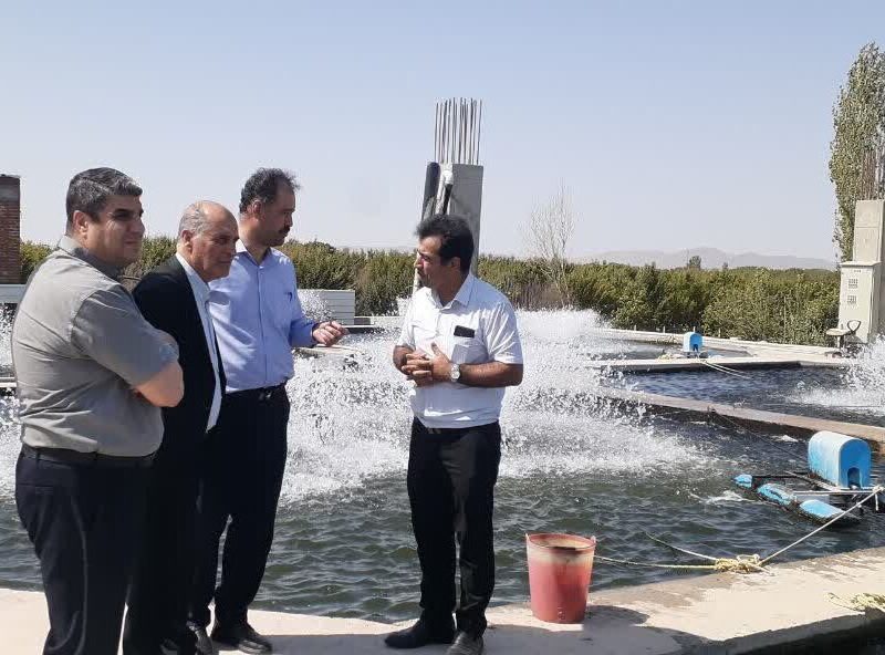 سرانه مصرف آبزیان در آذربایجان شرقی به ۸.۹ کیلوگرم رسید